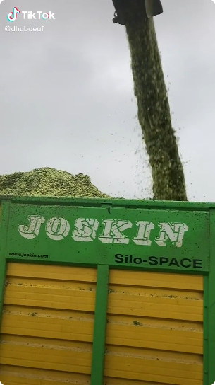 TikTok : récolte du fourrage bio