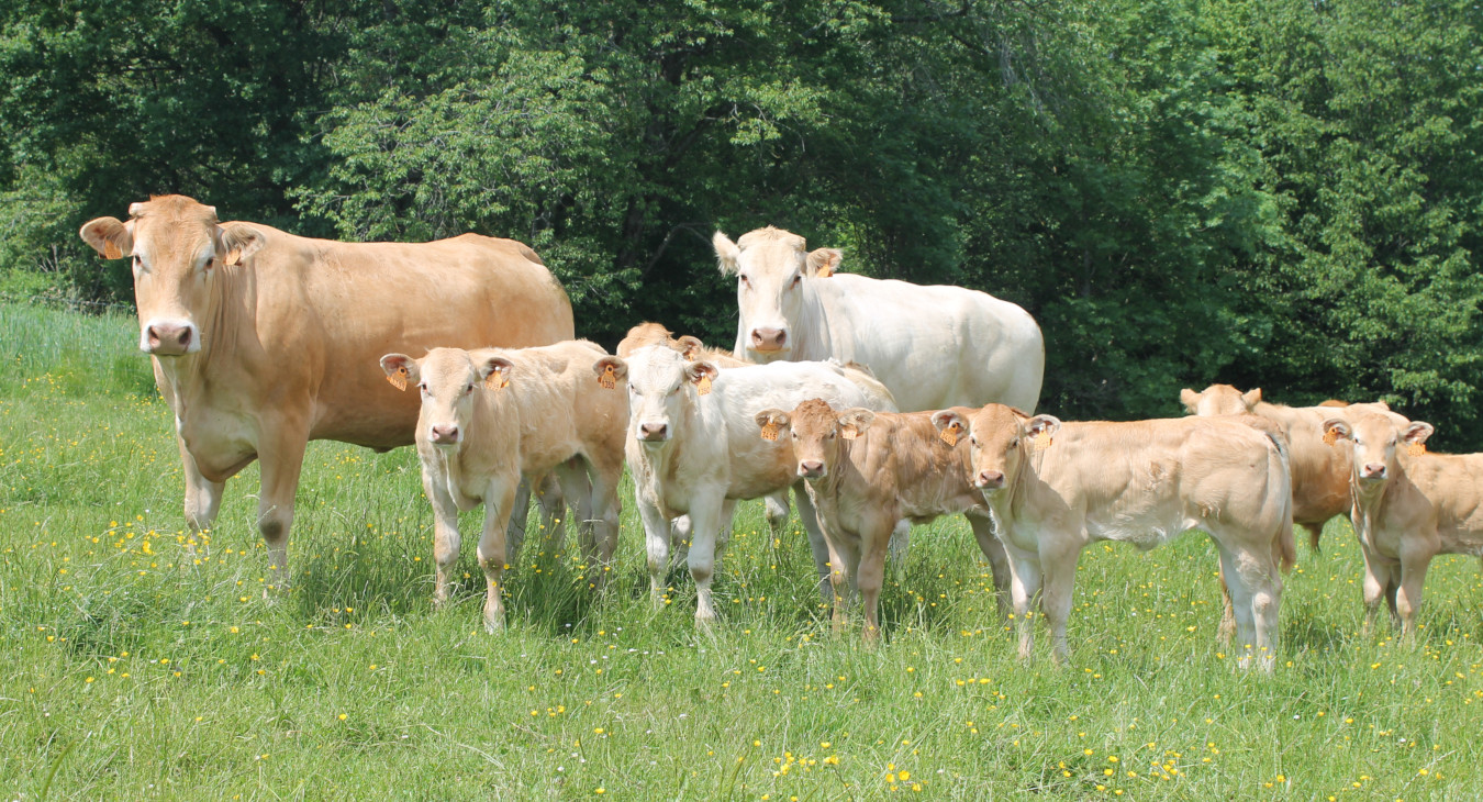 Ferme d'Huboeuf Privilégier un circuit court, c'est offrir le prix juste pour des produits fermiers bio de première qualité