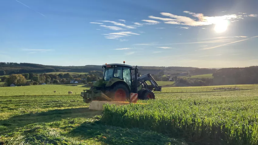 Production du fourrage bio en Ardenne belge