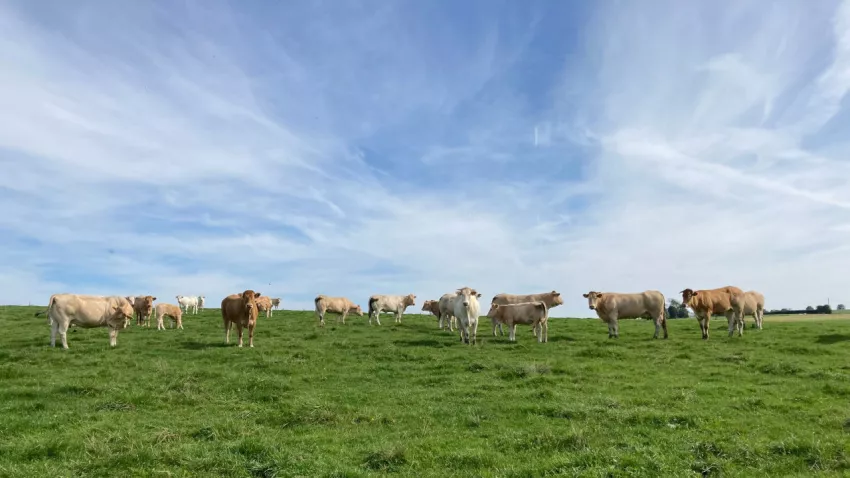 Le bien-être animal, notre mode de vie