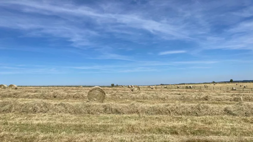 Fenaison à Hubermont à quelques jours du début de l'été