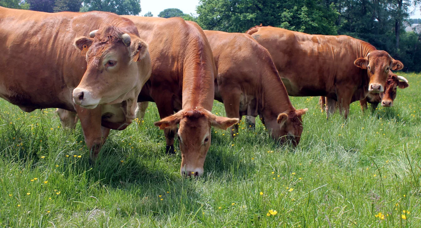 Colis ménage bio de la ferme d'Huboeuf à Hubermont