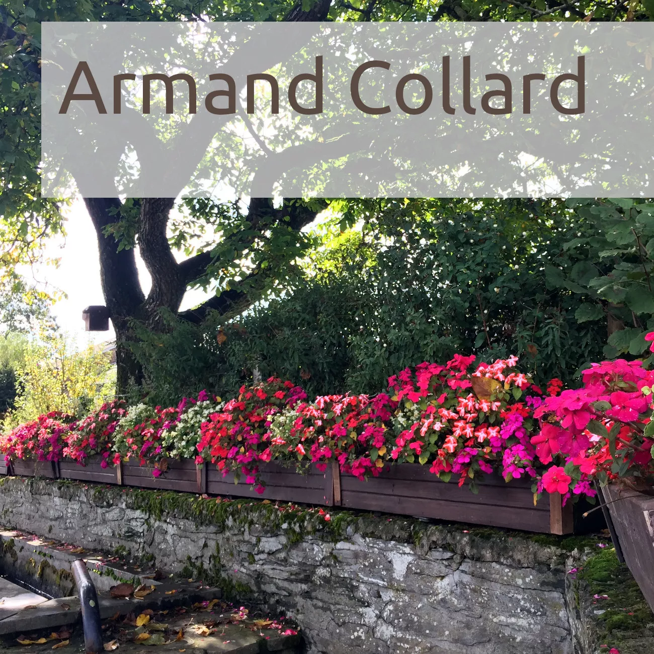 Armand Collard